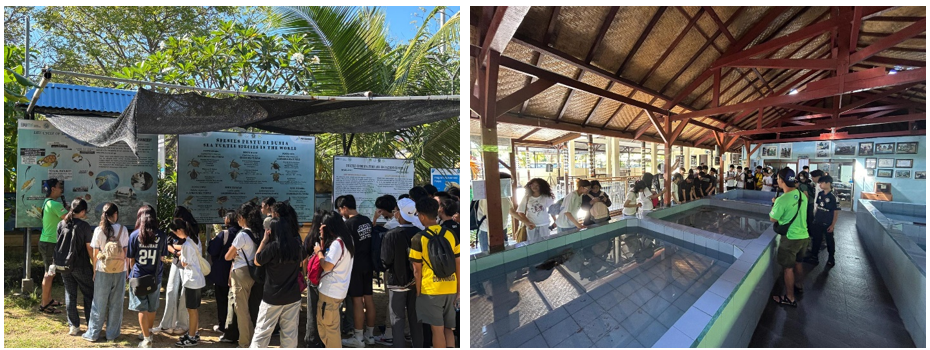 Learning about Marine Conservation in Kuta